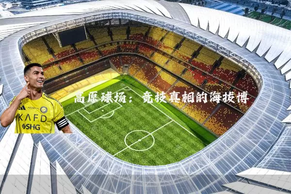 高原球场:竞技真相的海拔博弈